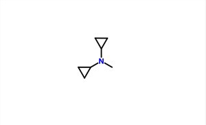 Dicyklopropylmetánamín CAS 13375-29-6