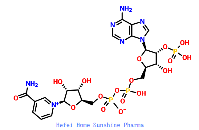 β-nikotínamid adenín dinukleotidfosfát NADP CAS 53-59-8
