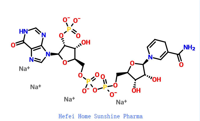 Nikotínamid hypoxantín dinukleotid fosfát redukovaný tetrasodná soľ NADPH CAS 42934-87-2